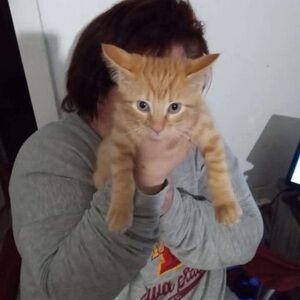 Meet your Posher, Tricia